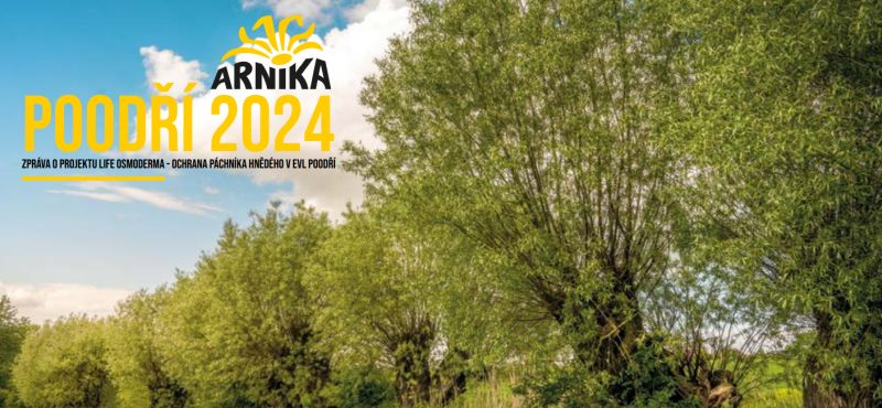 arnika kalendar 2024 foto